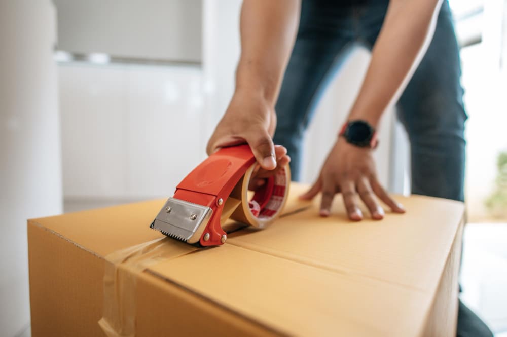 Professional furniture moving team